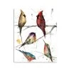 Demdaco Birds 120-Piece Puzzle -Home Decor Shop Colorful Birds Jigsaw Puzzle in Canister 1004610122 01