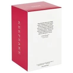 Hallmark Father Christmas Ornament -Home Decor Shop Father Christmas With Toy Bag Keepsake Ornament 2499QXR8137 05