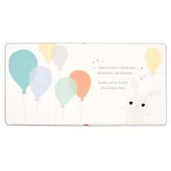 Hallmark One Is Wonderful! Birthday Book -Home Decor Shop One Is Wonderful Birthday Book 1BOK1516 04