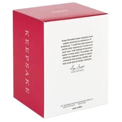 Hallmark O Pizza Tree Ornament -Home Decor Shop Pizza Christmas Tree on Boxes Keepsake Ornament 1799QGO2857 05