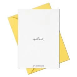 Hallmark Primary Colors Assorted Blank Thank-You Notes, Pack Of 48 -Home Decor Shop Primary Colors Blank ThankYou Notes Assortment Pack 5STZ1057 07